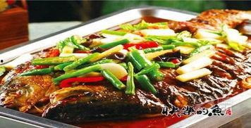 舌尖爆料烤鱼视频播放大全,视频播放大全，尽享美味瞬间